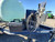http://used.rdoequipment.com/getImageS2.cfm?imgID=11663638&filename=9_10.jpg