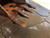 http://used.rdoequipment.com/getImageS2.cfm?imgID=8044177&filename=8_IMG_8517.jpg