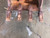 http://used.rdoequipment.com/getImageS2.cfm?imgID=8044175&filename=6_IMG_8515.jpg