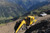 https://www.vermeer.com/getmedia/3c9745e3-c48e-4ecc-a58a-f0d3bc0f891d/t755iii-trencher-on-pipeline-installation-site?width=670&height=445&ext=.jpg