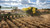 https://www.deere.com/assets/images/region-4/products/precision-ag-technology/guidance/autotrac/autotrac_r4a056399_large_1183273a9a05eb21d63bd4fa577185809903f6e6.jpg