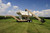 https://bct-checkout.rdoequipment.com/product_images/import/seed_runner_tender_unverferth.jpg
