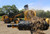 https://www.vermeer.com/getmedia/c88b9181-05a8-44df-a2f5-a0ff96cda7c5/tr5300em-trommel-screen-wood-recycling-machine?width=670&height=450&ext=.jpg
