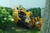 https://www.vermeer.com/getmedia/89905f63-ebb5-4897-954d-6e4d84c28044/spx25-compact-utility-trencher?width=670&height=445&ext=.jpg
