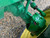 http://used.rdoequipment.com/getImageS2.cfm?imgID=11719098&filename=16_16.jpg