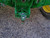 http://used.rdoequipment.com/getImageS2.cfm?imgID=11913788&filename=12_12.jpg