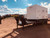 http://used.rdoequipment.com/getImageS2.cfm?imgID=11602435&filename=13_FD05D5CC-0BC4-49E6-B079-88B040267E68.jpg