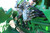 http://used.rdoequipment.com/getImageS2.cfm?imgID=10356834&filename=22_IMG_0813.jpg