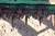 http://used.rdoequipment.com/getImageS2.cfm?imgID=10356830&filename=20_IMG_0826.jpg