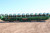 http://used.rdoequipment.com/getImageS2.cfm?imgID=10356871&filename=6_IMG_0790.jpg