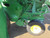 http://used.rdoequipment.com/getImageS2.cfm?imgID=9589122&filename=16_IMG_0579.jpg