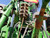 http://used.rdoequipment.com/getImageS2.cfm?imgID=11802932&filename=16_16.jpg