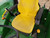 http://used.rdoequipment.com/getImageS2.cfm?imgID=12034856&filename=34_20211122_151642.jpg