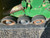 http://used.rdoequipment.com/getImageS2.cfm?imgID=11663315&filename=20_20.jpg