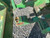 http://used.rdoequipment.com/getImageS2.cfm?imgID=11663319&filename=16_16.jpg