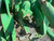 http://used.rdoequipment.com/getImageS2.cfm?imgID=11663320&filename=15_15.jpg
