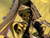 http://used.rdoequipment.com/getImageS2.cfm?imgID=12038309&filename=21_IMG_7634.jpg