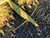 http://used.rdoequipment.com/getImageS2.cfm?imgID=12038307&filename=19_IMG_7632.jpg