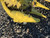 http://used.rdoequipment.com/getImageS2.cfm?imgID=12038302&filename=14_IMG_7627.jpg