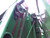 http://used.rdoequipment.com/getImageS2.cfm?imgID=13465141&filename=12_16.jpg