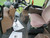 http://used.rdoequipment.com/getImageS2.cfm?imgID=11294525&filename=30_IMG_5567.jpg