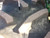http://used.rdoequipment.com/getImageS2.cfm?imgID=11909860&filename=33_100_7184.jpg