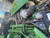 http://used.rdoequipment.com/getImageS2.cfm?imgID=12135868&filename=48_IMG_4158.jpg