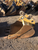 http://used.rdoequipment.com/getImageS2.cfm?imgID=12407050&filename=3_408449F5-709A-4281-9E4D-9746CFEC6890.jpg