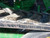 http://used.rdoequipment.com/getImageS2.cfm?imgID=11821061&filename=10_12.jpg