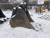http://used.rdoequipment.com/getImageS2.cfm?imgID=12513045&filename=3_IMG_5647.jpg