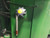 http://used.rdoequipment.com/getImageS2.cfm?imgID=12759566&filename=10_10.jpg