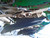 http://used.rdoequipment.com/getImageS2.cfm?imgID=12004129&filename=14_DSC00930.jpg