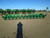 http://used.rdoequipment.com/getImageS2.cfm?imgID=12004120&filename=5_8.jpg