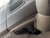 http://used.rdoequipment.com/getImageS2.cfm?imgID=12784551&filename=26_27.jpg