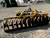 http://used.rdoequipment.com/getImageS2.cfm?imgID=12709005&filename=3_4.jpg