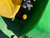 http://used.rdoequipment.com/getImageS2.cfm?imgID=12171690&filename=12_IMG_2388.jpg