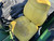 http://used.rdoequipment.com/getImageS2.cfm?imgID=12322101&filename=37_38.jpg