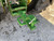 http://used.rdoequipment.com/getImageS2.cfm?imgID=12482637&filename=7_4d.jpg