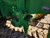 http://used.rdoequipment.com/getImageS2.cfm?imgID=12496836&filename=20_21.jpg