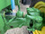 http://used.rdoequipment.com/getImageS2.cfm?imgID=12375445&filename=25_25.jpg