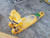 http://used.rdoequipment.com/getImageS2.cfm?imgID=8573894&filename=3_20200512_142944.jpg