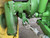 http://used.rdoequipment.com/getImageS2.cfm?imgID=12483840&filename=14_14.jpg