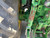 http://used.rdoequipment.com/getImageS2.cfm?imgID=10802985&filename=9_IMG_2779.jpg