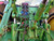 http://used.rdoequipment.com/getImageS2.cfm?imgID=12041056&filename=21_21.jpg