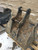 http://used.rdoequipment.com/getImageS2.cfm?imgID=9908812&filename=3_IMG_1209.jpg