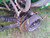 http://used.rdoequipment.com/getImageS2.cfm?imgID=11327401&filename=3_20210728_084959.jpg