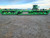 https://api.rdoequipment.com/api/EquipmentImage?imgID=14022653&filename=5_X997558-04.jpg
