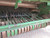 http://used.rdoequipment.com/getImageS2.cfm?imgID=11141062&filename=41_IMG_5987.jpg