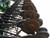 http://used.rdoequipment.com/getImageS2.cfm?imgID=11866481&filename=35_DSC00478.jpg