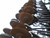 http://used.rdoequipment.com/getImageS2.cfm?imgID=11866480&filename=34_DSC00477.jpg